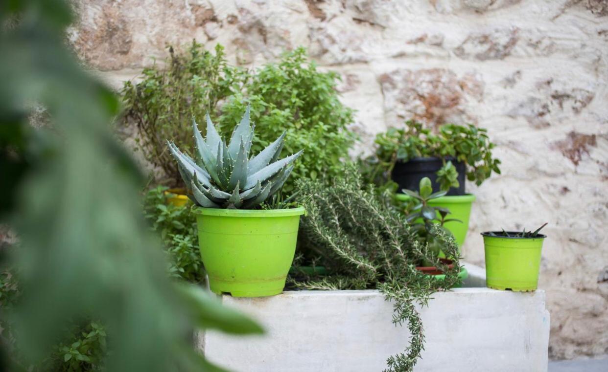 A Litte Taste Of Home Guest House Athen Eksteriør bilde